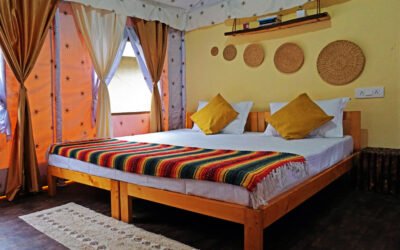 A Home Away from Home: Comfort and Convenience at Our Campsite