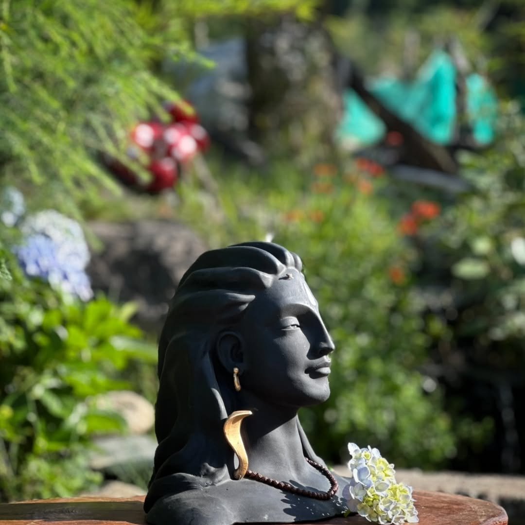 Sustainable Campsites Himachal