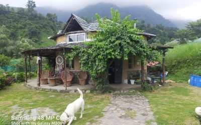 How to Plan a Budget-Friendly Camping Trip